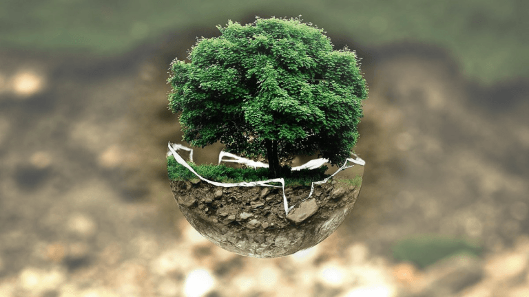 Strategie ESG: Le Aziende Italiane Crescono con la Sostenibilità