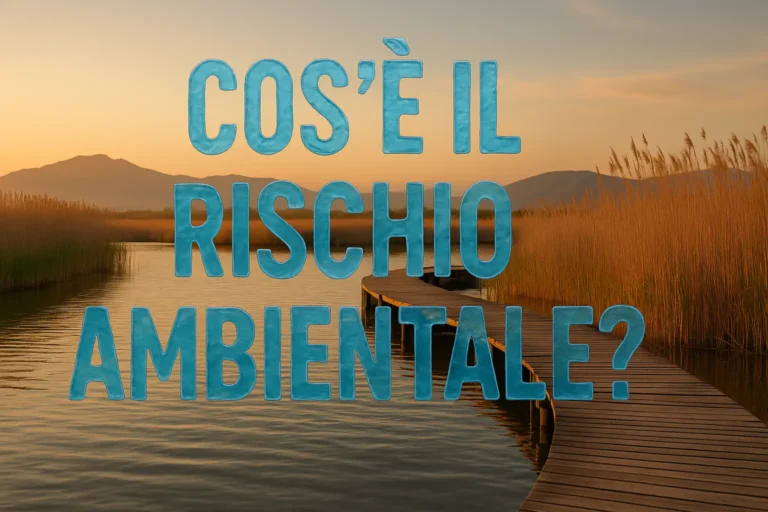 Rischio Ambientale: Ecosistema e Inquinamento